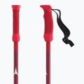 Bastoncini da sci per bambini Atomic AMT JR rosso 6