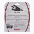 Wilson NXT Power 17 corda da tennis 12,2 m bianco WRZ941700+ 2