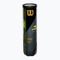 Palline da tennis Wilson US Open XD 4 pz. giallo 3