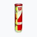 Palline da tennis Wilson Team Practice 4 pezzi giallo WRT111900 3