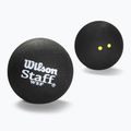 Palline da squash Wilson Staff Ball Double Yellow Dot 3 pezzi nero.
