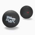 Palline da squash Wilson Staff Ball Red Dot 3 pezzi nero.