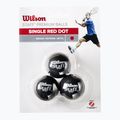 Palline da squash Wilson Staff Ball Red Dot 3 pezzi nero. 2