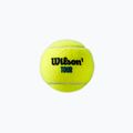 Palline da tennis Wilson Tour Premier All Ct 4 pezzi giallo WRT119400 3