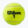 Palline da tennis Wilson Roland Garros All Ct 3 pezzi giallo WRT126400 2