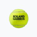Palline da tennis Wilson Roland Garros Clay Ct 4 pezzi giallo WRT115000 4