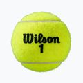 Palline da tennis Wilson Roland Garros All CT 4 pz. giallo 5