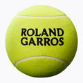 Pallina da tennis Wilson Roland Garros Jumbo 9" gialla autografata 2
