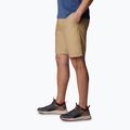 Pantaloncini da trekking Columbia Washed Out crouton da uomo 3