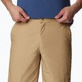 Pantaloncini da trekking Columbia Washed Out crouton da uomo 4