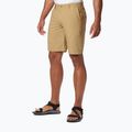 Pantaloncini da trekking Columbia Washed Out crouton da uomo