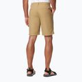 Pantaloncini da trekking Columbia Washed Out crouton da uomo 2