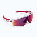 Occhiali da sole Oakley Radar EV Path bianco lucido/prizm road