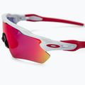 Occhiali da sole Oakley Radar EV Path bianco lucido/prizm road 3