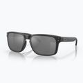 Occhiali da sole polarizzati Oakley Holbrook nero opaco/nero Prizm 2