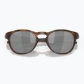 Occhiali da sole Oakley Latch matte brown tortoise 5