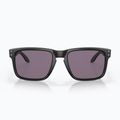 Occhiali da sole Oakley Holbrook nero opaco/grigio prismatico 2