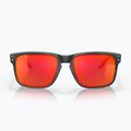 Occhiali da sole Oakley Holbrook nero opaco/prizm rubino 2