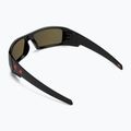 Occhiali da sole Oakley Gascan nero lucido/rubino Prizm 2