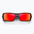 Occhiali da sole Oakley Gascan nero lucido/rubino Prizm 10