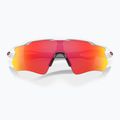 Occhiali da sole Oakley Radar EV Path bianco lucido/rubino Prizm 5