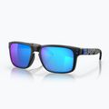 Occhiali da sole Oakley Holbrook matte black