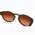 Occhiali da sole Oakley Latch marrone opaco tartaruga/prizm marrone sfumato 7