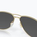 Occhiali da sole Oakley Contrail satin gold/prizm black 6