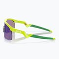 Occhiali da sole per bambini Oakley Resistor retina burn/prizm jade 4