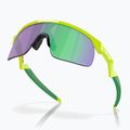 Occhiali da sole per bambini Oakley Resistor retina burn/prizm jade 5