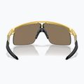Occhiali da sole per bambini Oakley Resistor oro/prizm 24k 3