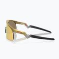 Occhiali da sole per bambini Oakley Resistor oro/prizm 24k 6