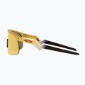 Occhiali da sole per bambini Oakley Resistor oro/prizm 24k 7