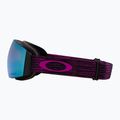 Occhiali da sci Oakley Flight Deck M purple haze/prism sapphire iridium 9