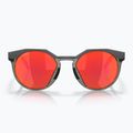 Occhiali da sole Oakley HSTN carbonio opaco/prizm rubino 6