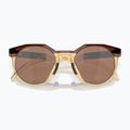 Occhiali da sole Oakley HSTN Kylian Mbappé Signature Series ambra scuro/curry chiaro 10