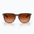 Occhiali da sole Oakley Thurso opachi rootbeer/prizm marrone sfumato 2