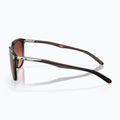 Occhiali da sole Oakley Thurso opachi rootbeer/prizm marrone sfumato 3