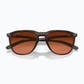 Occhiali da sole Oakley Thurso opachi rootbeer/prizm marrone sfumato 5