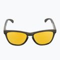Occhiali da sole polarizzati Oakley Frogskins Range dark brush/prizm 24k 3