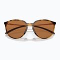 Occhiali da sole Oakley Sielo polar marrone lucido tartaruga/prizm bronzo 6
