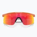 Occhiali da sole da bambino Oakley Resistor ginger/prizm ruby 4