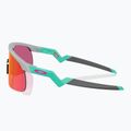 Occhiali da sole Oakley Resistor matte fog/prizm field da bambino 3