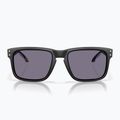 Occhiali da sole Oakley Holbrook Fathom Collection nero opaco/grigio prismatico 2