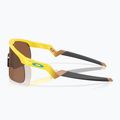 Occhiali da sole per bambini Oakley Resistor giallo/prizm tungsteno 5
