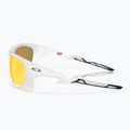 Occhiali da sole polarizzati Oakley Lateralis Seek Collection vapor opaco/prizm rubino 5