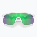Occhiali da sole Oakley Resistor bianco opaco/prizm jade per bambini 3