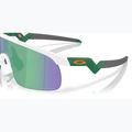 Occhiali da sole Oakley Resistor bianco opaco/prizm jade per bambini 6