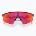 Occhiali da sole da bambino Oakley Resistor Sweep redline/prizm field 3