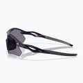 Occhiali da sole Oakley Radar Plate grigio navy lucido/prizm 4